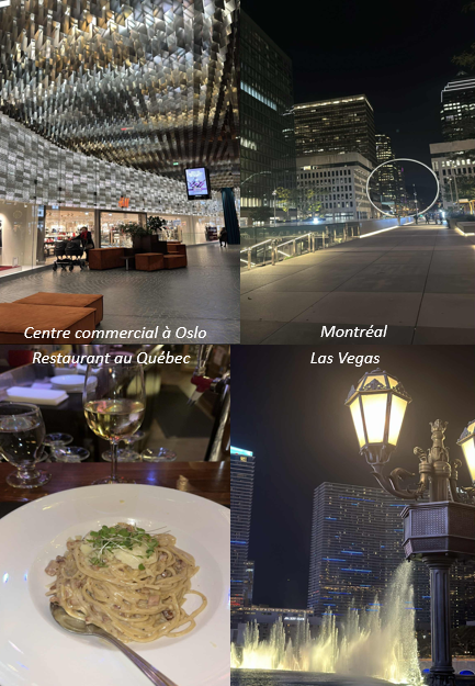 E-Book - Voyager seul(e) à travers le monde